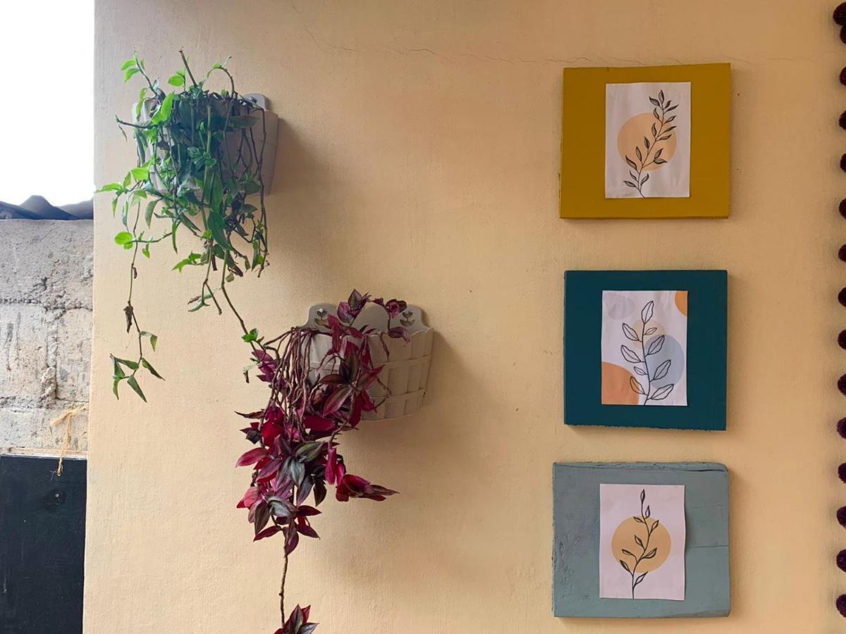 Hostal 23 San Cristóbal de Las Casas Dış mekan fotoğraf